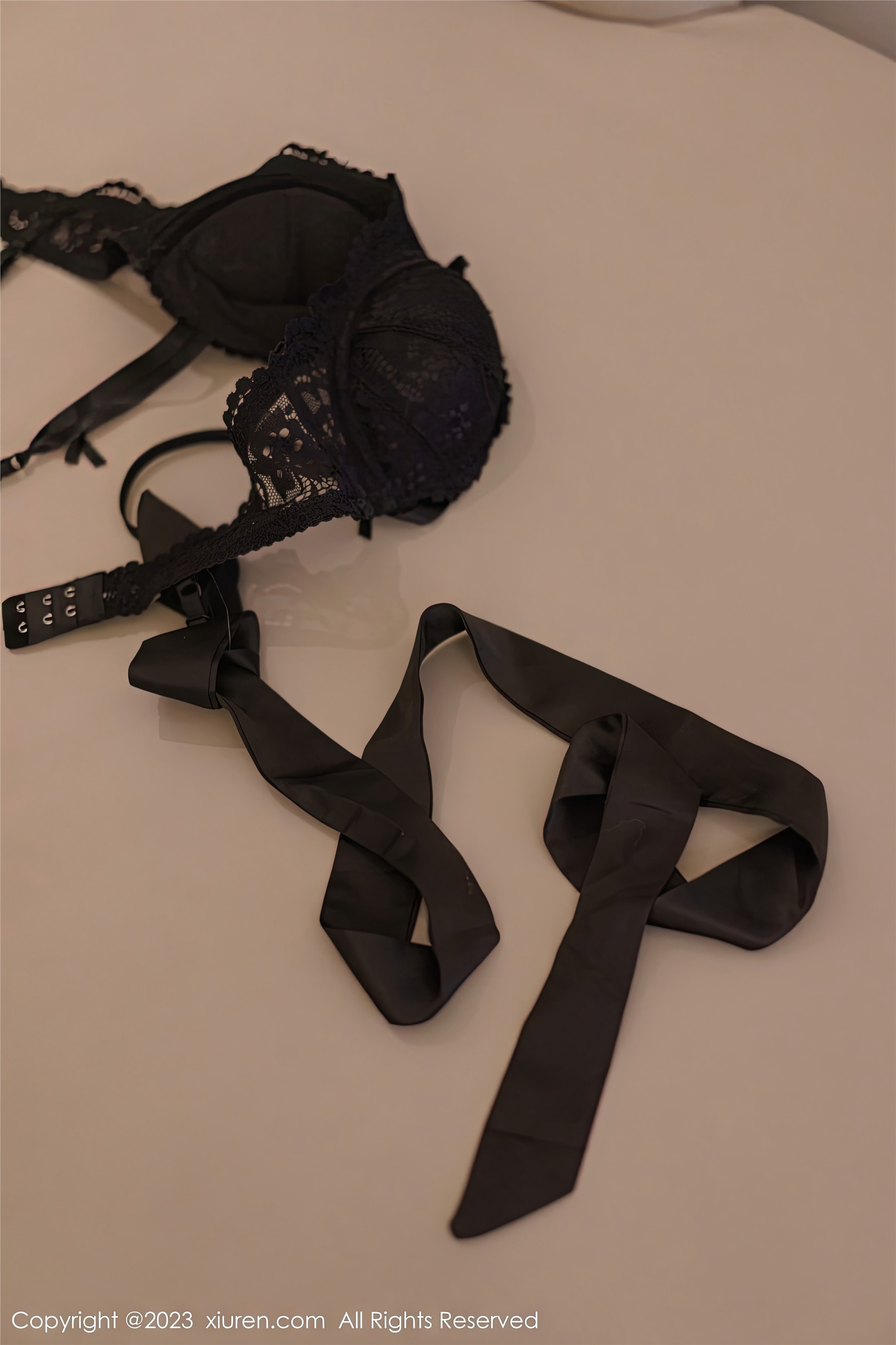 Xiuren秀人网 2023.01.18 NO.6150 icy猪